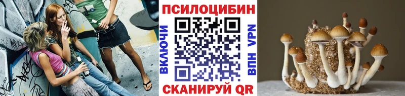 Псилоцибиновые грибы Psilocybine cubensis Балаково