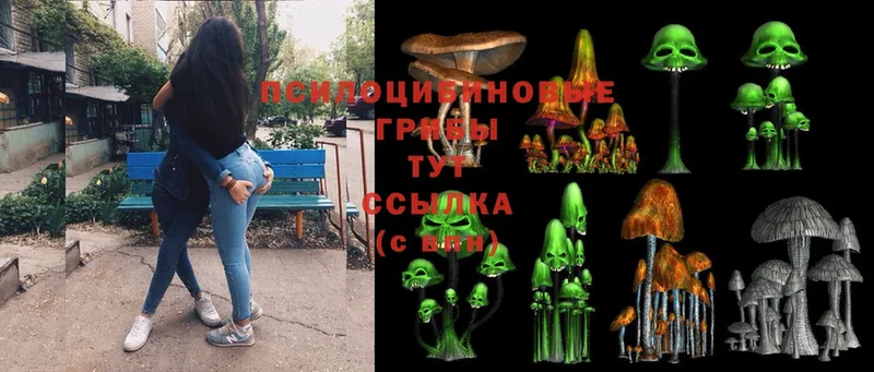 Галлюциногенные грибы Cubensis  Балаково 