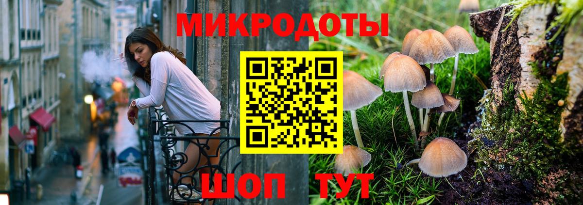 Галлюциногенные грибы прущие грибы Балаково