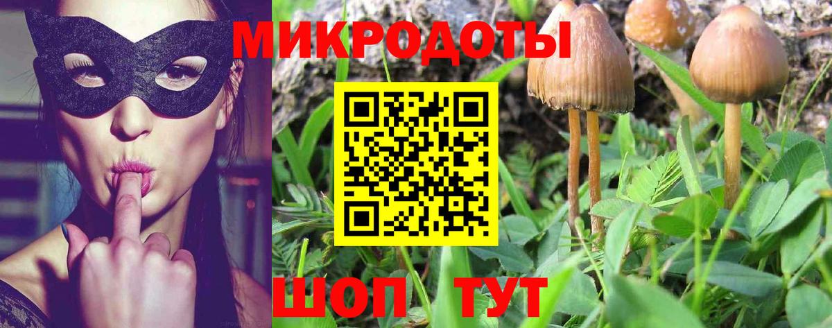 Псилоцибиновые грибы Cubensis Балаково