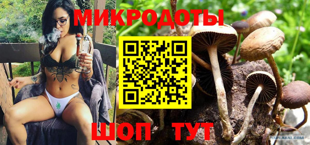 Балаково  Галлюциногенные грибы GOLDEN TEACHER  где купить   Вход с VPN  Псилоцибиновые грибы Magic Shrooms 