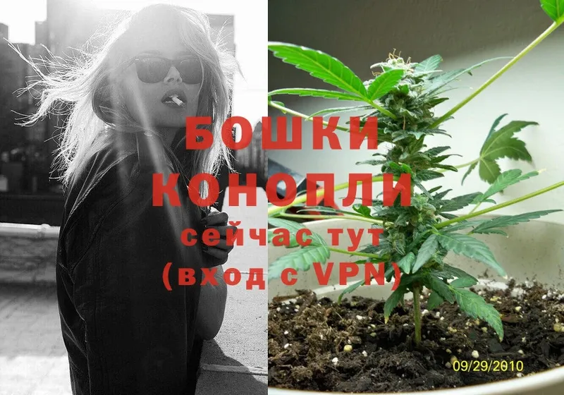 Бошки Шишки THC 21%  Балаково 